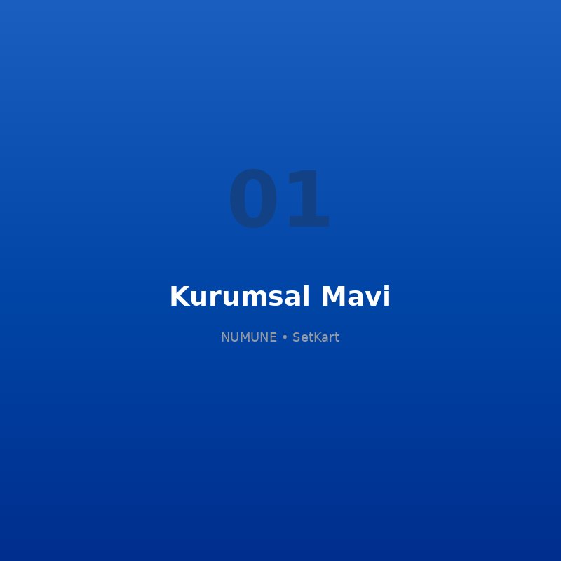 SetKart kurumsal mavi plastik kart numunesi