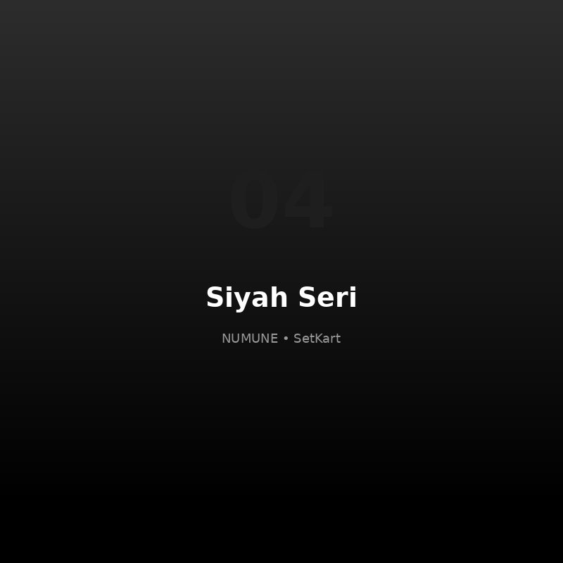 Siyah seri kurumsal kart örneği